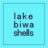 lake biwa shells